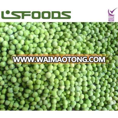 Chinese new crop IQF frozen green peas