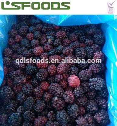 China Wholesale Frozen Blueberry Bulk frozen blackberries